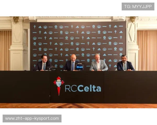 职业联赛的赞助方案策略设计